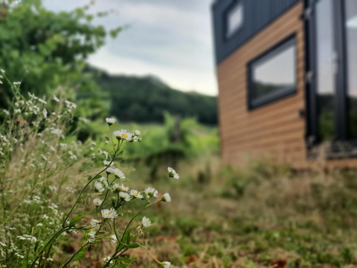 Appartamento Pop Tiny House Balaton Kaptalantoti Esterno foto