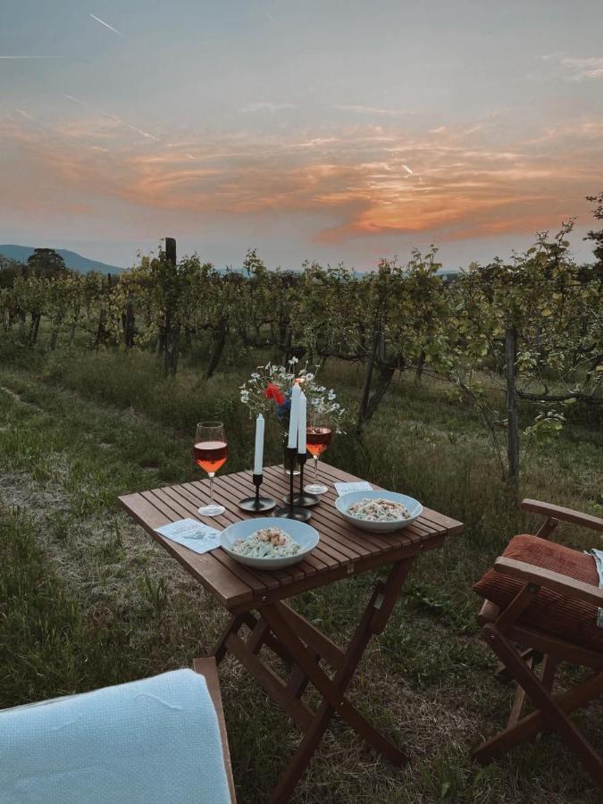Appartamento Pop Tiny House Balaton Kaptalantoti Esterno foto